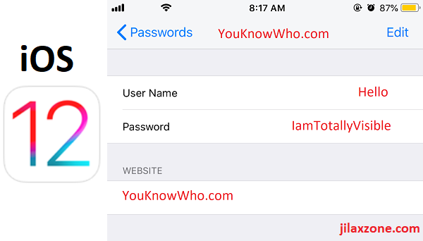 get plain text password for wifi on macos