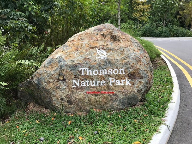 Thomson Nature Park stone logo jilaxzone.com