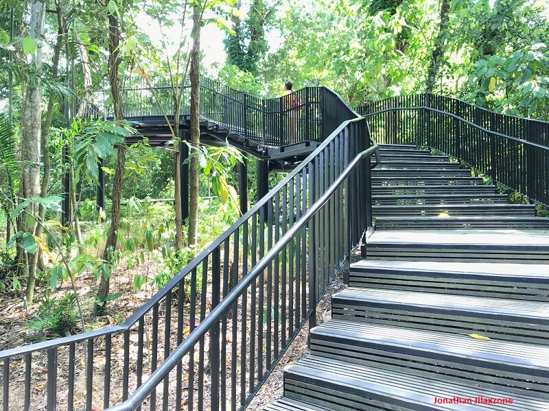 Thomson Nature Park viewing deck jilaxzone.com