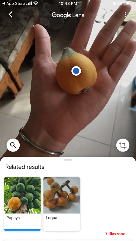 google lens search image to get clue and answer jilaxzone.com